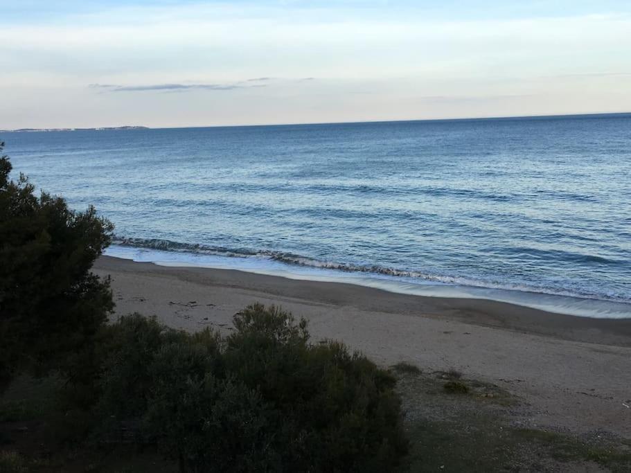 Beach-Lovers - Apartamento 1Era Linia Mar Miami Playa Eksteriør bilde