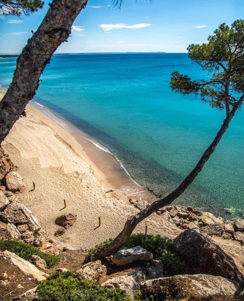Beach-Lovers - Apartamento 1Era Linia Mar Miami Playa Eksteriør bilde